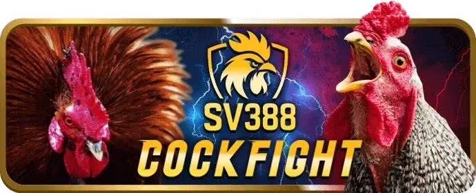 Hỗ trợ trực tuyến 24/7 Vwin